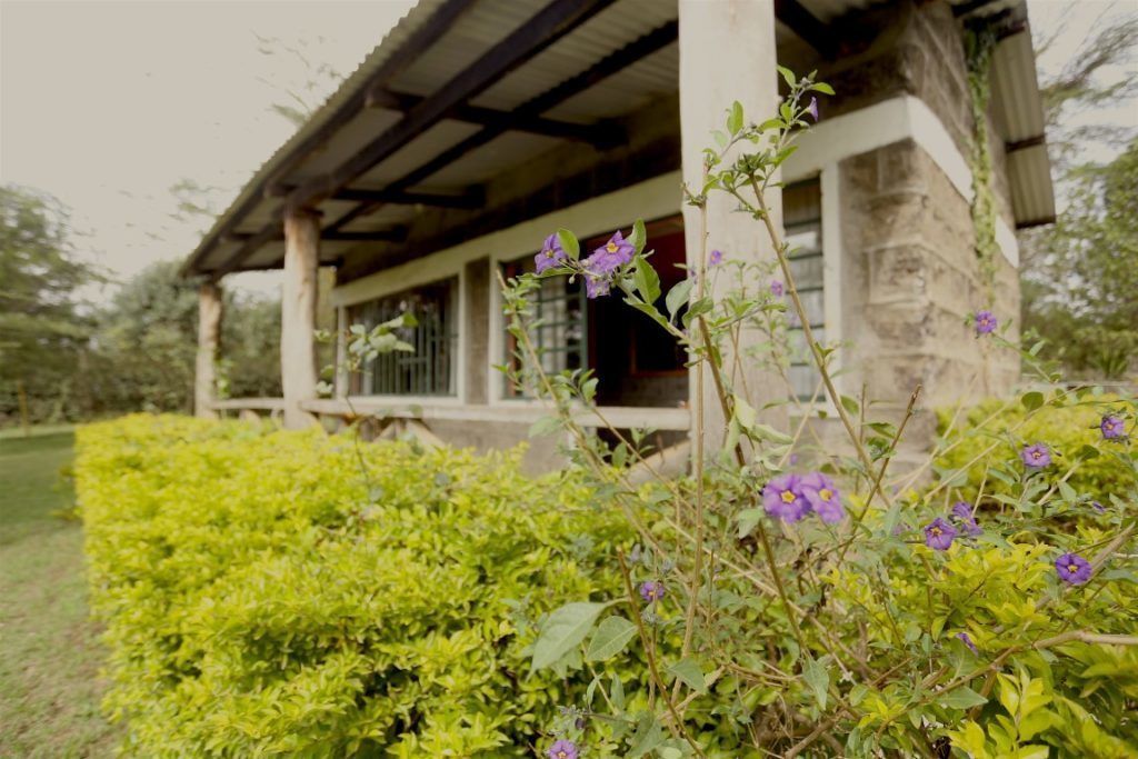 Family Cottage | Bed sheets