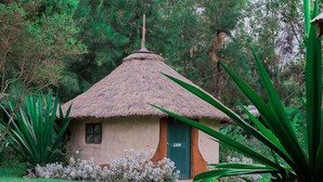 A small, thatched-roof hut with a door labeled "LION" surrounded by lush greenery.