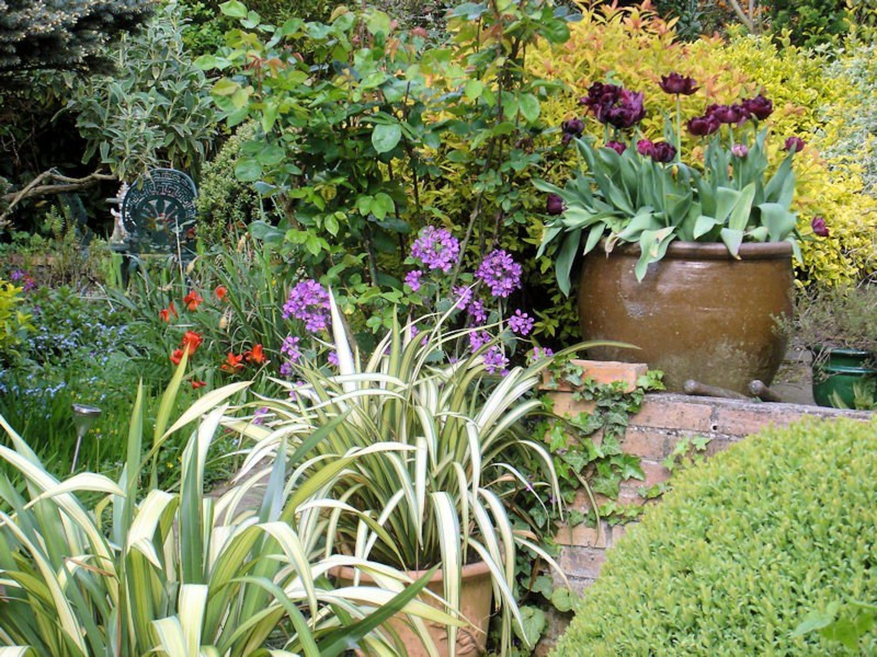 A lush garden with various plants and flowers, including purple flowers and tall green foliage.