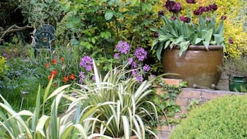 A lush garden with various plants and flowers, including purple flowers and tall green foliage.