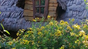 A rustic log cabin with a shingled roof and a small window. - Le Frêne Fringant (Sainte-Opportune-la-Mare)