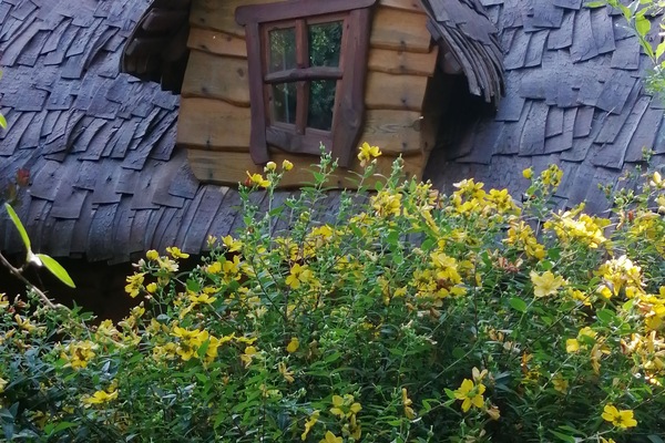 Cabin | Blackout drapes, iron/ironing board, free WiFi, bed sheets