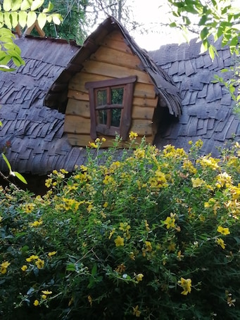 Cabin. Le Frêne Fringant