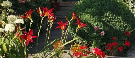 Double Room, 1 Double Bed, Non Smoking