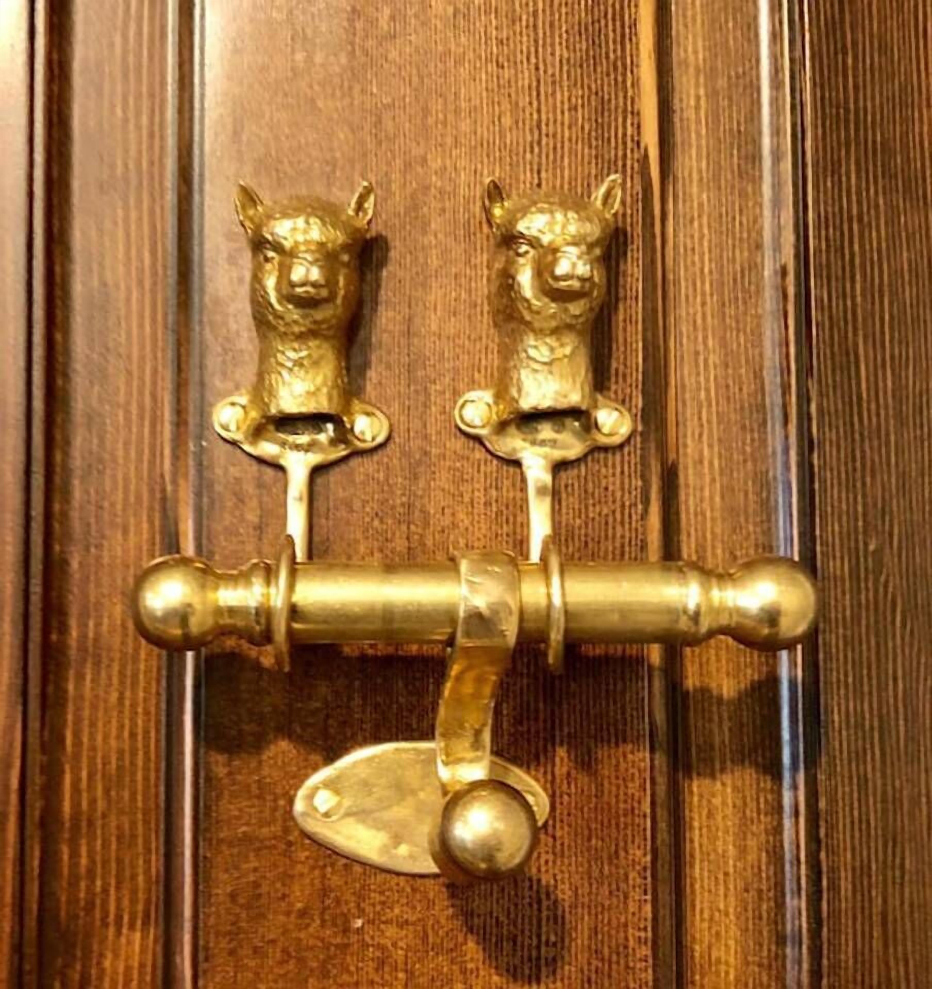 A brass door handle with two animal-shaped knobs, likely a lion or a similar creature, mounted on a wooden door.