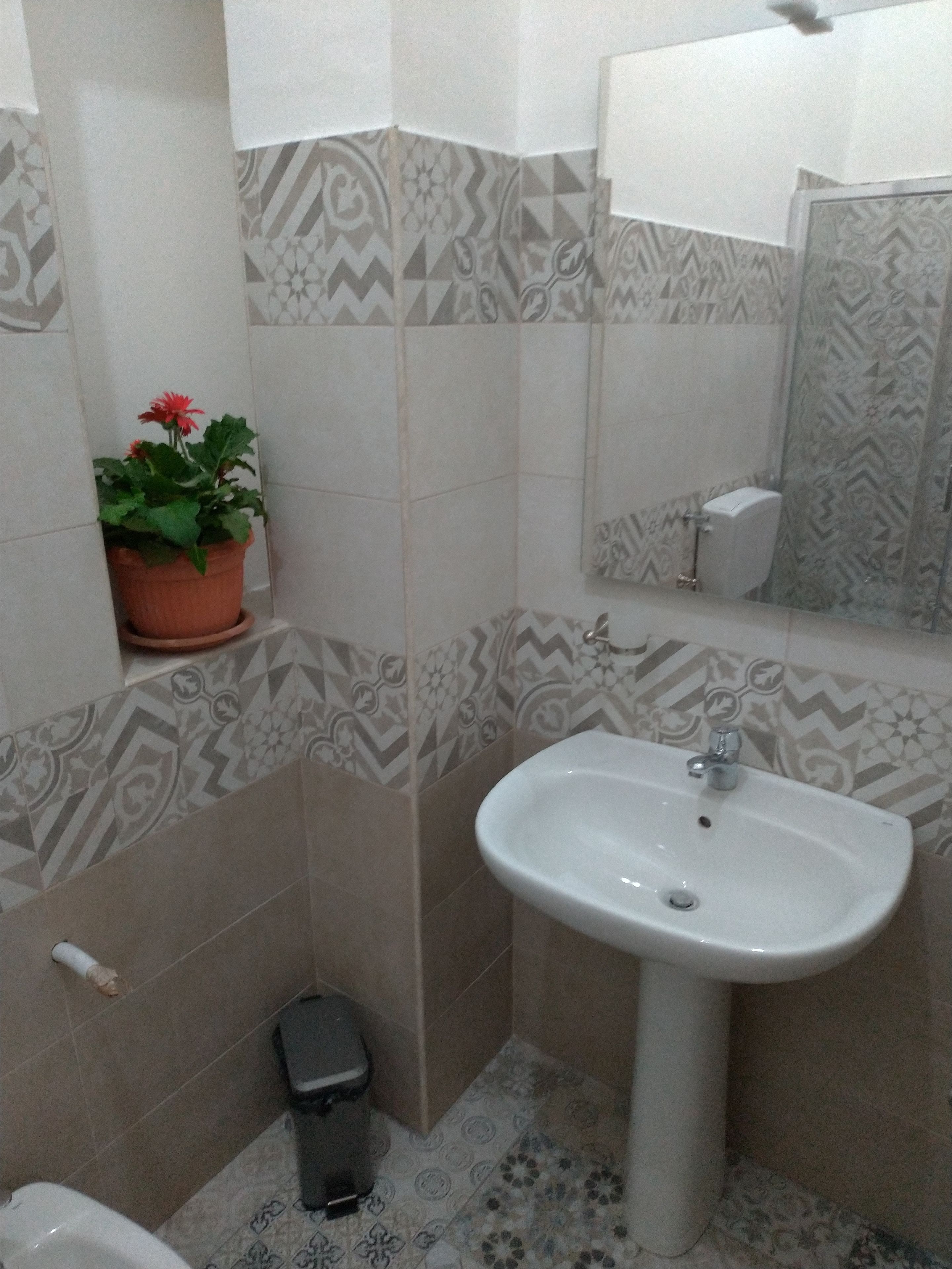 Un baño con baldosas estampadas, un lavabo blanco, un espejo, un inodoro y una planta en maceta.