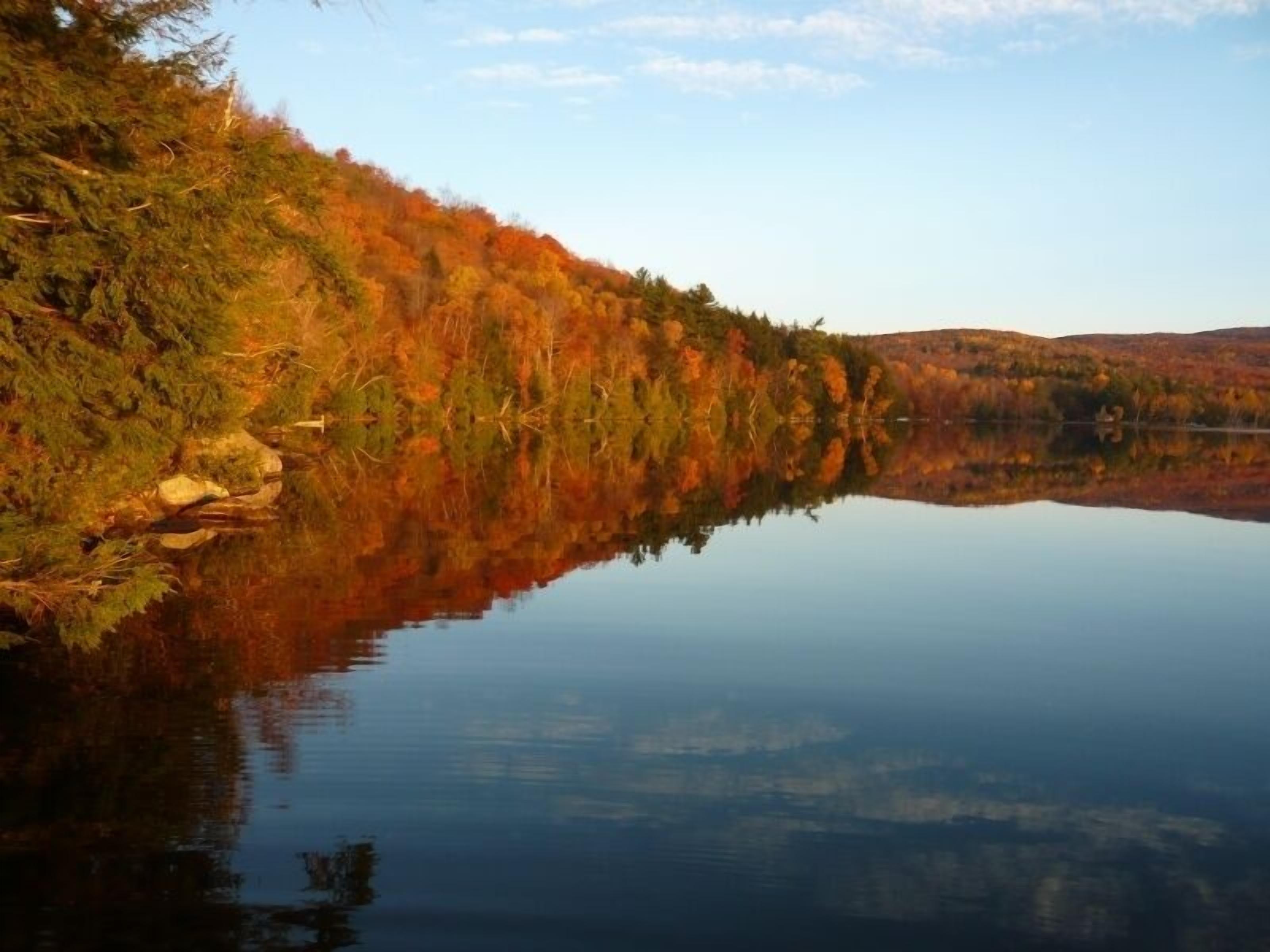 Un lago tranquilo con follaje otoñal reflejado en el agua.