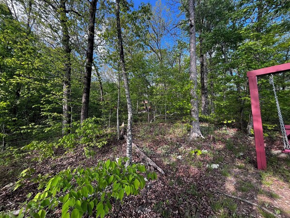A forested area with a red wooden swing set. - Family Cabin with a large front porch - Close to playground and pond (Winslow)