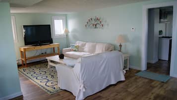 Älytelevisio, takka, DVD-soitin, kirjoja