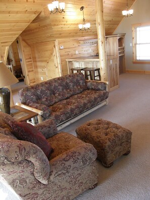 TV, fireplace, DVD player, books