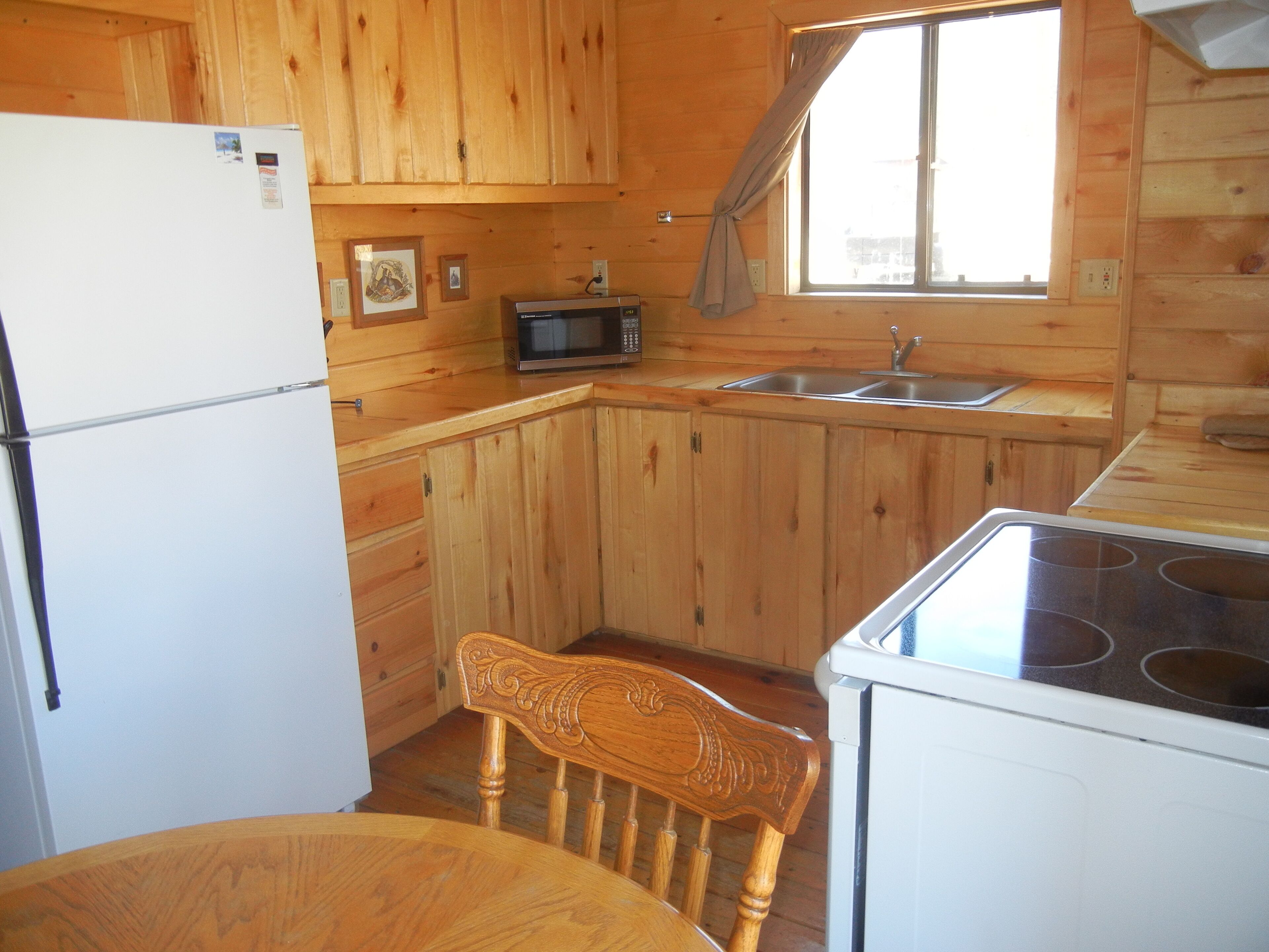 Sunny 2BR/1BA log Cabin on Main Street. Fireplace, stocked trout pond, views!
