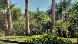 Une vue à travers une fenêtre à cadre métallique, donnant sur un jardin luxuriant avec différents arbres et arbustes.
