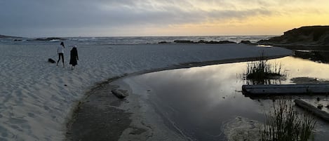 沙滩椅、沙滩毛巾