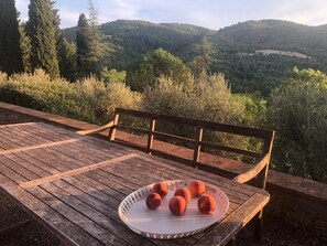 Outdoor dining - Quiet and Beautiful Property, Large Pool, Airco in bedrooms (Castellina in Chianti)