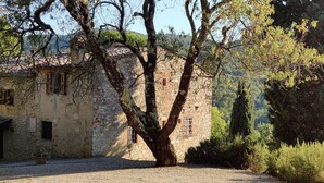 A stone building with a large tree in front, surrounded by greenery and hills in the background.