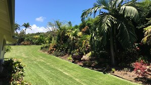 Une pelouse bien entretenue, agrémentée de diverses plantes tropicales et d’un palmier.