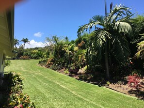 Property grounds - This Tropical Bungalow features Air Conditioning and Tempurpedic King Bed (Pepeekeo)