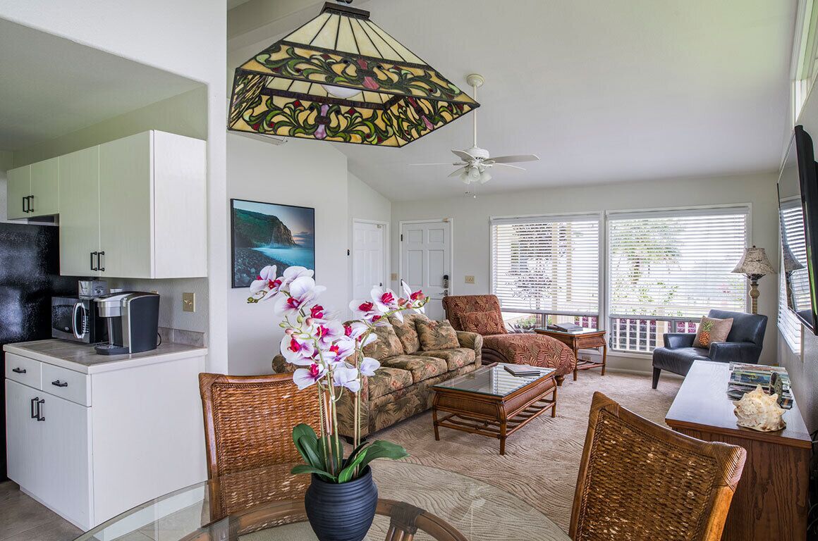 Smart TV, DVD player, books, video library