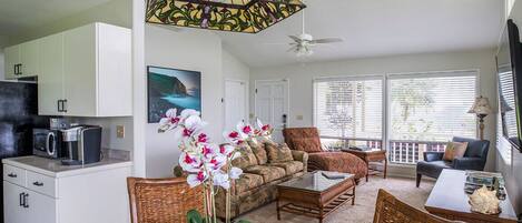 Smart TV, DVD player, books, video library