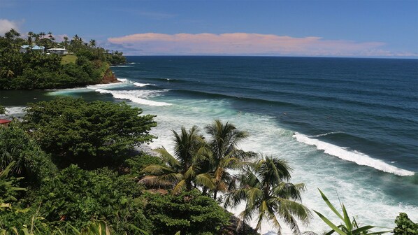 Vista costera con olas del océano, abundante vegetación y una costa distante con edificios.