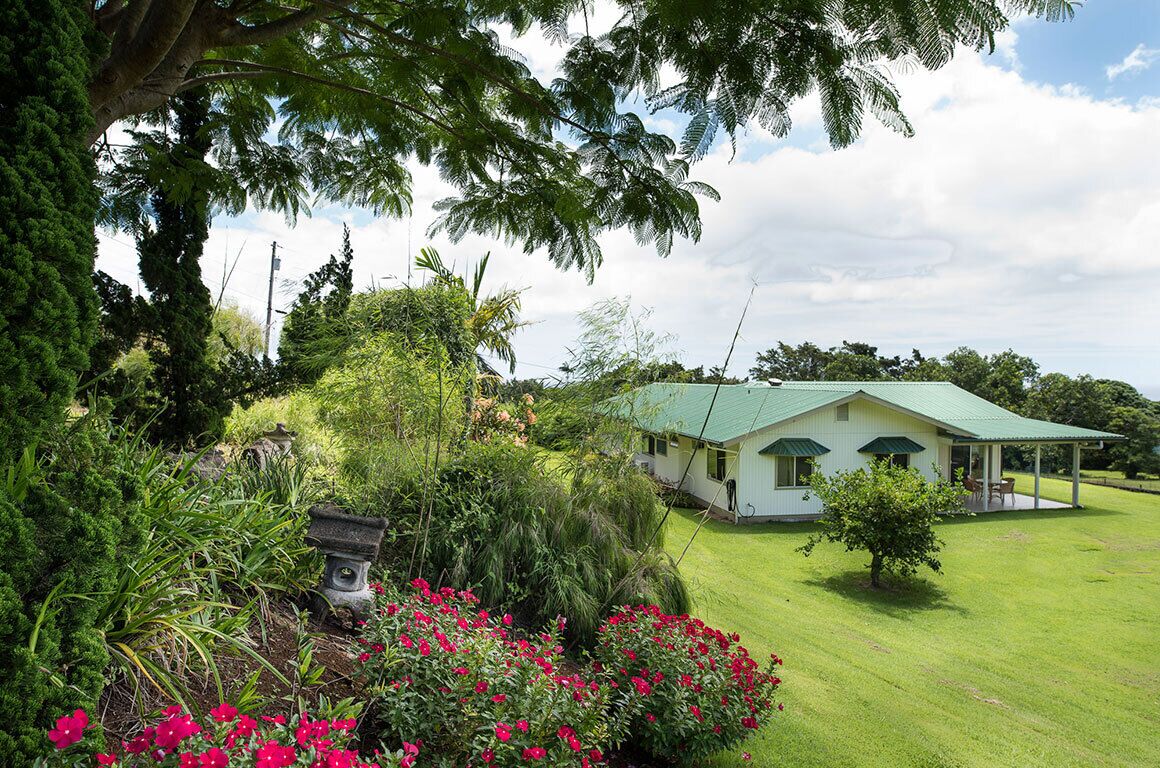 A house with a green roof, surrounded by lush greenery and flowering plants.