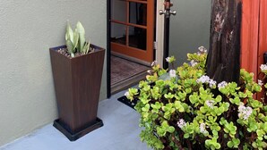 Une entrée d’immeuble avec une porte en bois, une décoration en forme d’étoile de mer et un jardinier contenant des plantes vertes.
