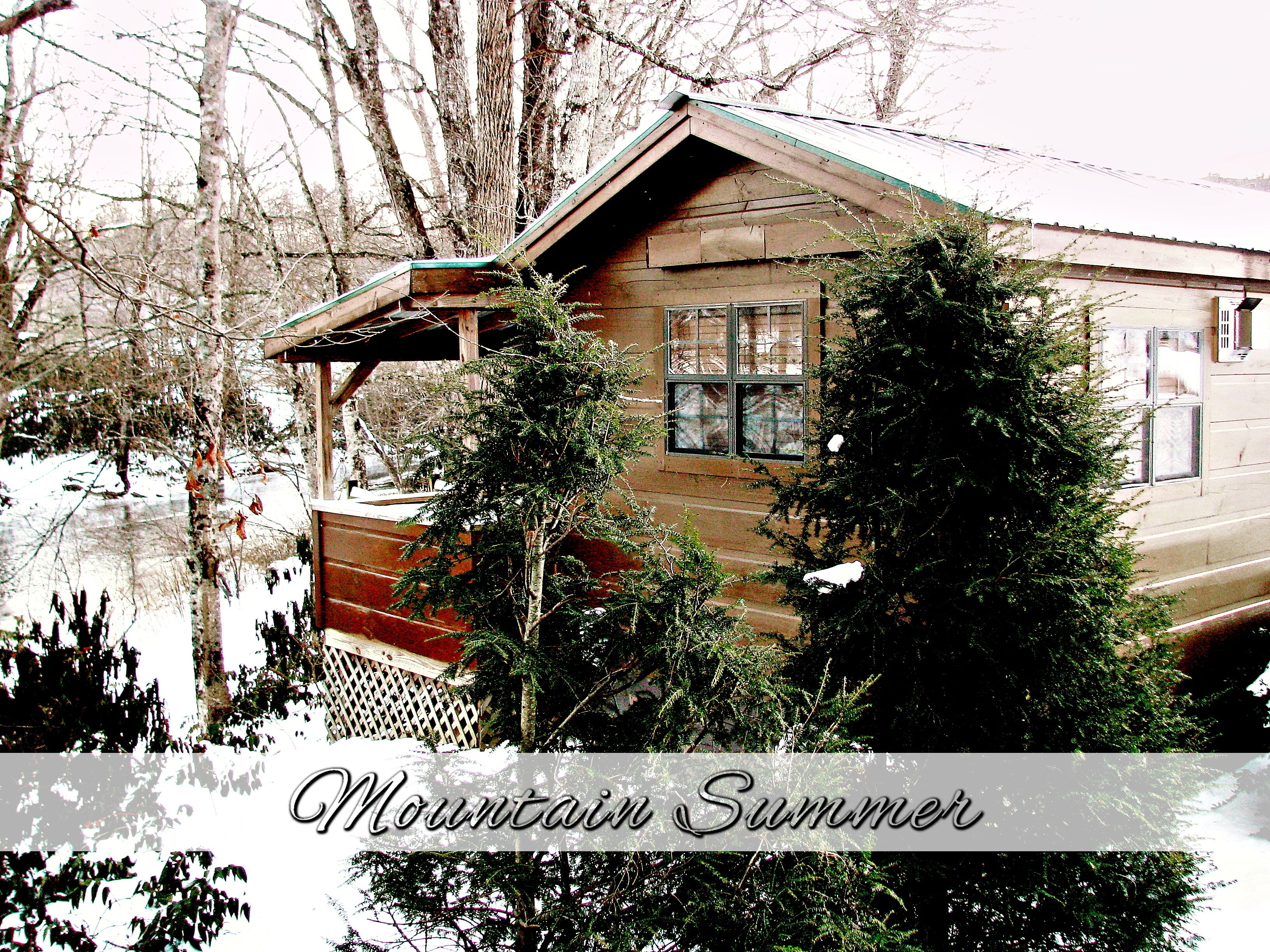 Real Logs-1BR, queen bed & futon-sleeps 4. Riverside w/ Hot Tub