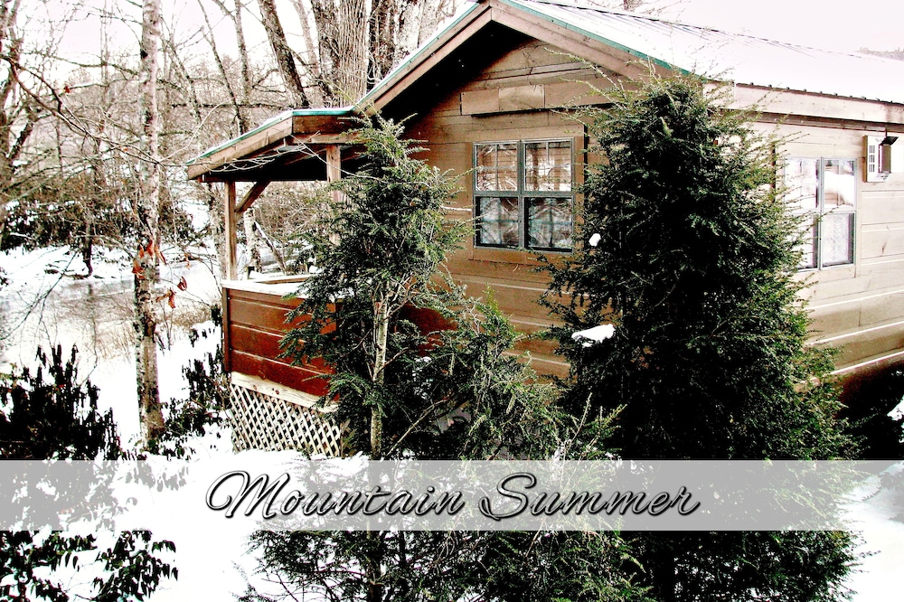 Real Logs-1BR, queen bed & futon-sleeps 4. Riverside w/ Hot Tub