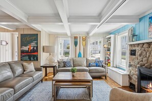 TV connectée, cheminée, lecteur de DVD, livres