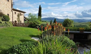 Property grounds - FARMH. PODERE CUNINA 25 KM SUD SIENA / MONTALCINO PRENDENDO LEZIONI DI CUCINA (Buonconvento)