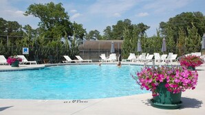 Une piscine entourée de verdure, avec des chaises longues et des parasols.