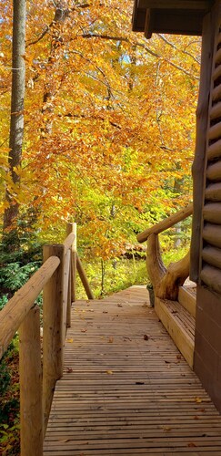 Michigan-järven 1945 hirsimökki 