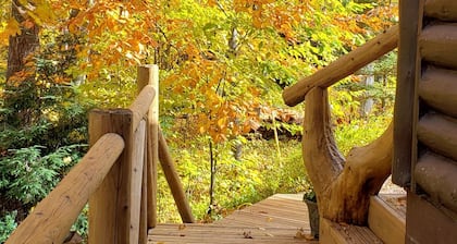 Michigan-järven 1945 hirsimökki