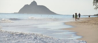 Steps to the Beach Guesthouse