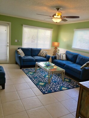 Smart TV, DVD player, books, video library