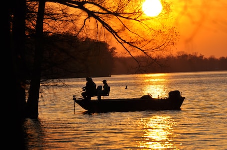 Miscellaneous. For Larger Groups Up To 24, Right on Reelfoot Lake--Private Dock And Pier.