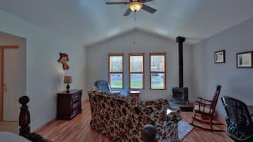 Télévision, cheminée, lecteur de DVD