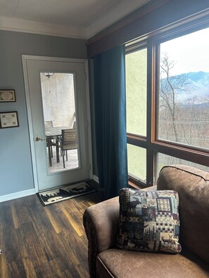 TV, fireplace, DVD player