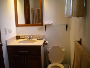 Ein Badezimmer mit Waschbecken, Spiegel, Toilette und Handtuchhalter.