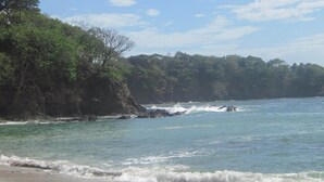 Una playa con agua azul cristalina, orilla arenosa y densa vegetación verde en una colina.