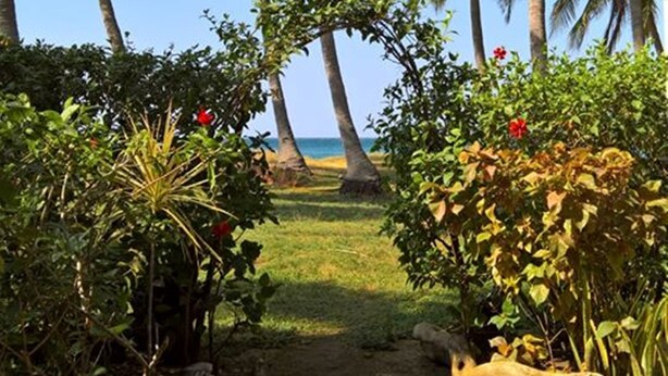Un camino que lleva a una playa con palmeras y una vista despejada del océano.