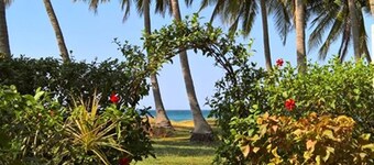 Costa Rica Paradise Right on the Beach!!! with FAST FIBER OPTIC WIFI included 