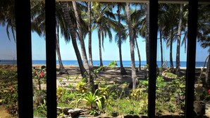 Vista a través de una ventana de una zona costera con palmeras y una playa de arena.