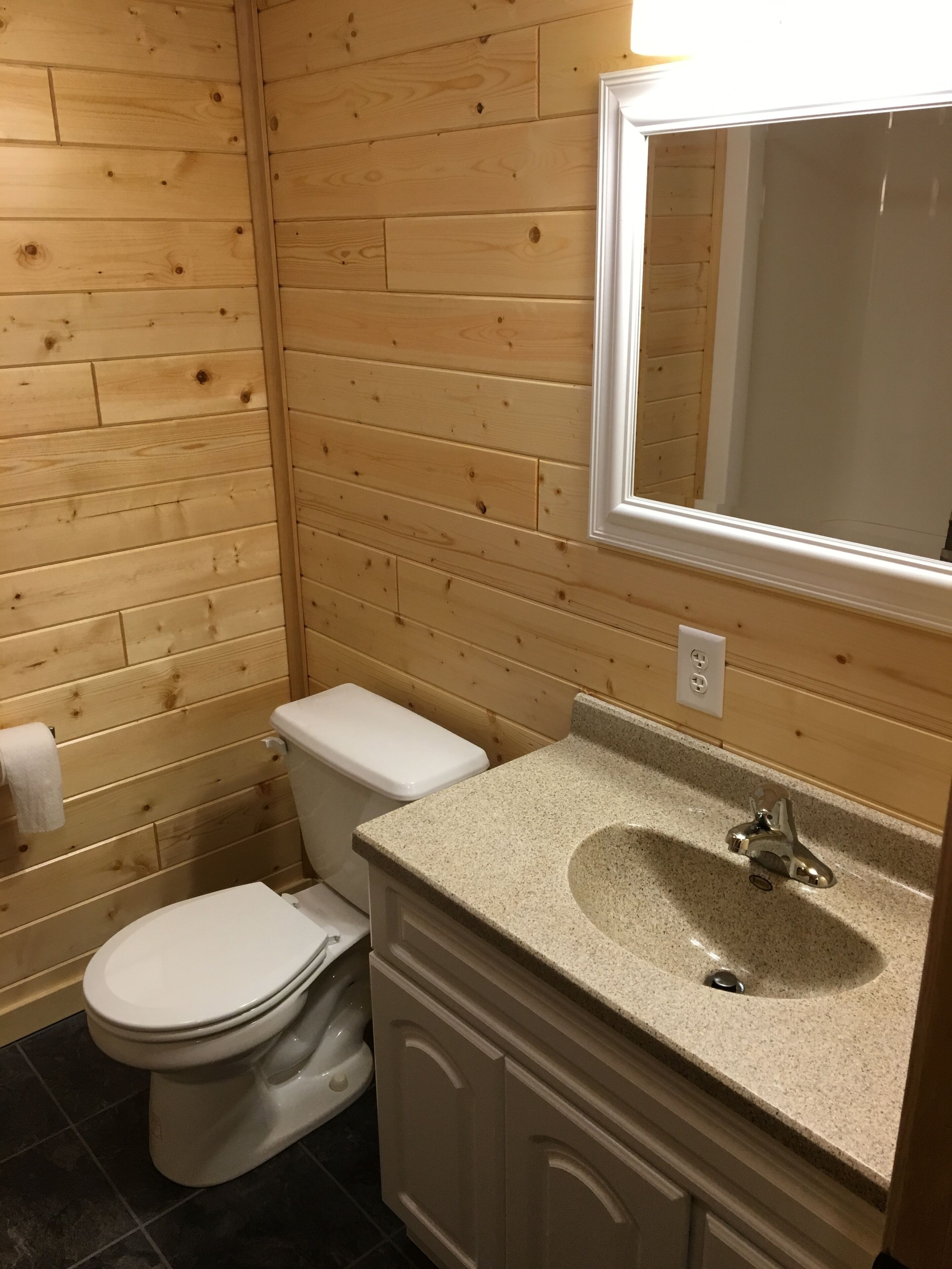 4 Season Nelson Lake cabin, only 5 miles from town, WIFI, AC,Dogs Welcome