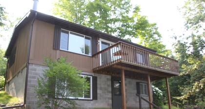 4 Season Nelson Lake cabin, only 5 miles from town, WIFI, AC,Dogs Welcome