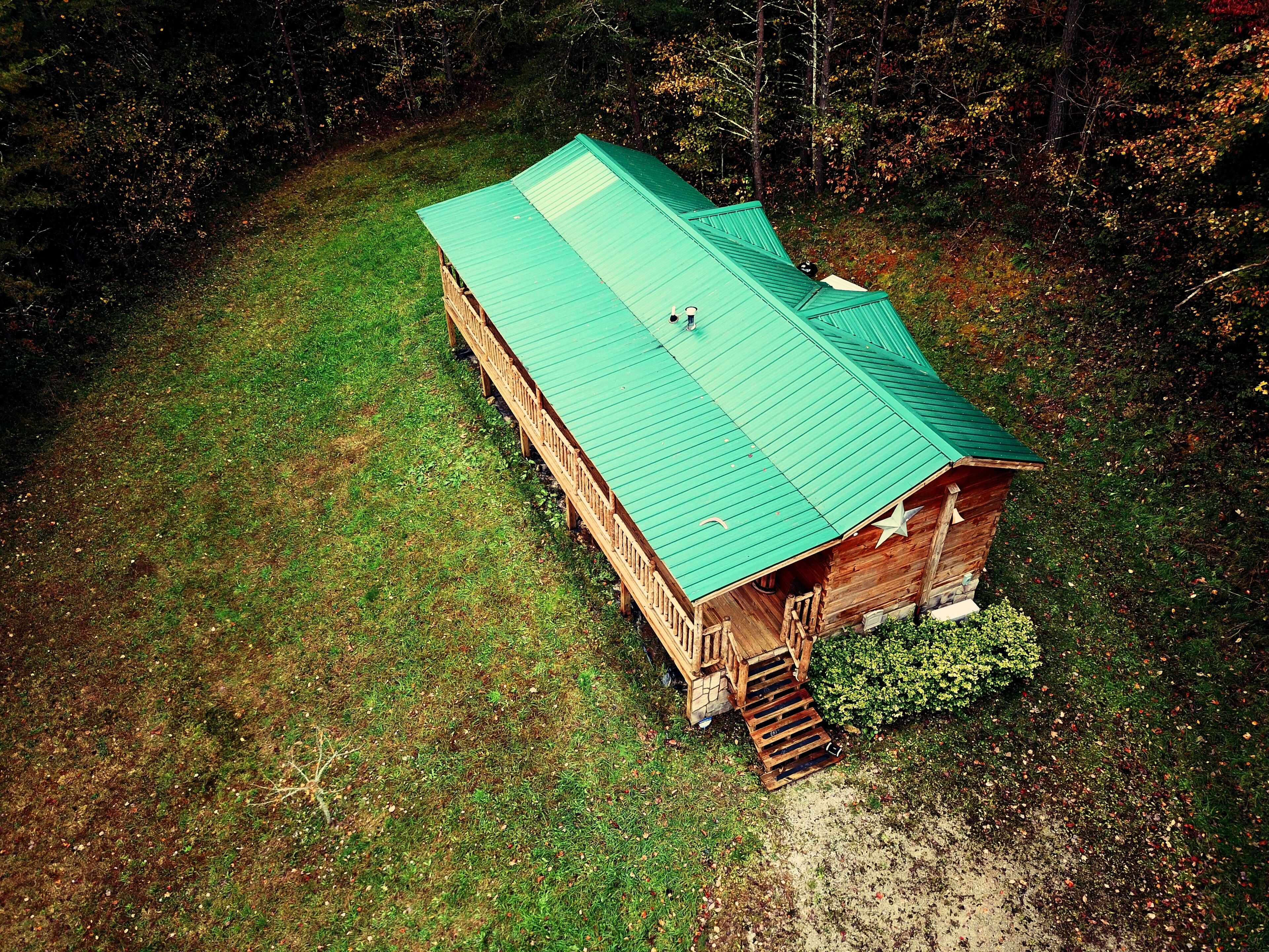 The Seedling - Log Cabin in the Woods