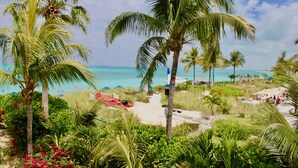 A tropical beach scene with palm trees, a clear blue sky, and a sandy path leading to the ocean. - Gorgeous second floor, ocean front with huge wrap around balcony!!! (Providenciales)