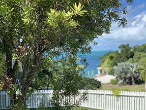 Property grounds - Ocean Views with Pool - Spacious Family Friendly 3BR/2BA- CATCH A WAVE BAHAMAS (Hope Town)