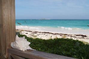 A beach view with a wooden structure, a seashell, and green foliage.