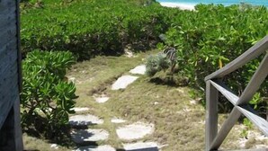 Una terraza de madera que da a una zona verde exuberante, con vista a la playa y al océano.